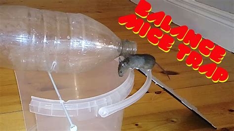 Cool Mouse Traps に対する画像結果