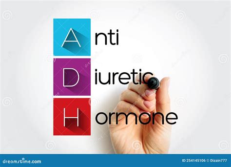 Image result for ADH Hormone Kidney