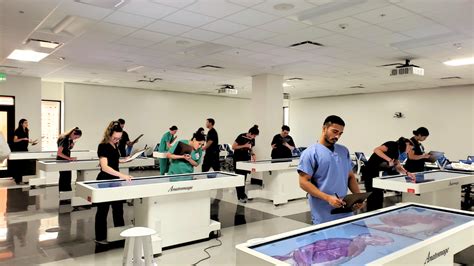 Bildergebnis für Anatomage Table Orientation