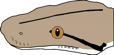 Reticulated Python Head に対する画像結果