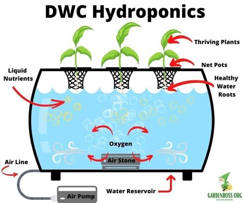 Toradh íomhá ar Deep Water Culture Hydroponics Icon