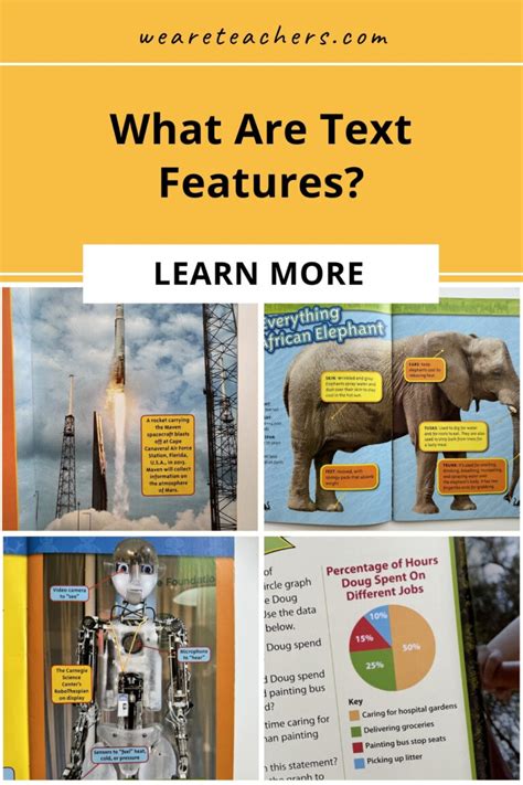 Image result for Text Features Book