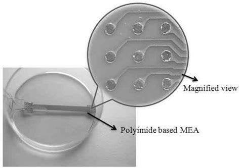 Image result for Electrode Array. With Micro Fluid