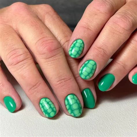 Image result for Turtle Shell Nail Design