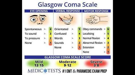Image result for Glasgow Coma Scale