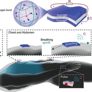 Image result for Hydrogel Sensor Array