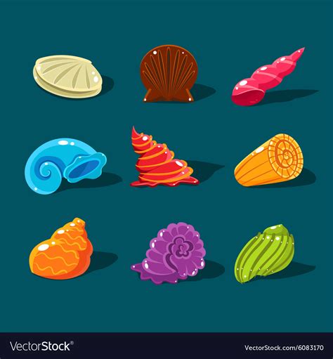 Image result for Types of Shells Vector