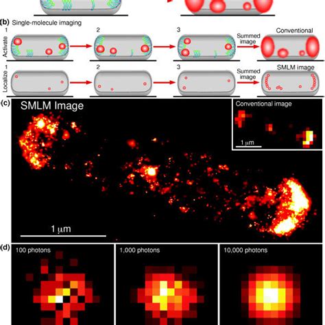 Image result for Molecule Microscope