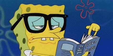 Image result for Spongebob Meme of Data Science