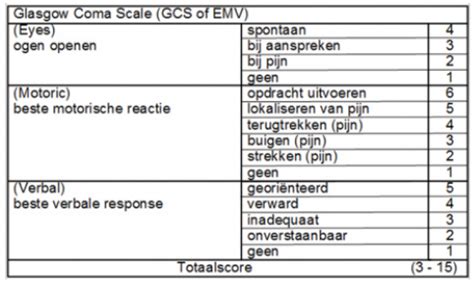 Image result for GCS EMV Score