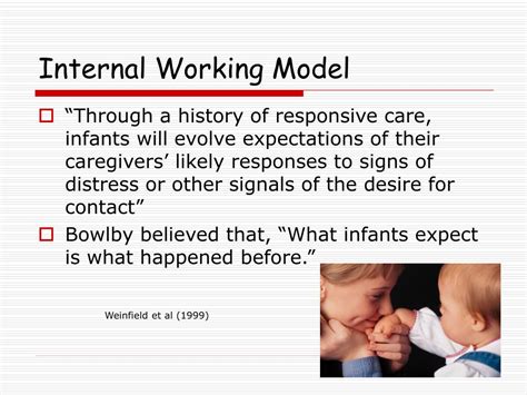 Image result for Internal Working Model