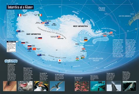 Image result for Antarctica for Kids