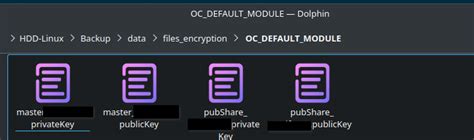 Decrypting Encrypted Files に対する画像結果