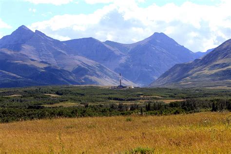 Image result for Alpha Carbon