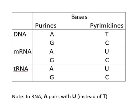 Image result for Codon Science