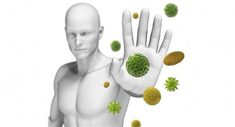 Image result for Immune System Virus