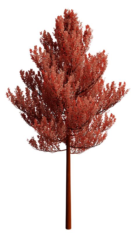 Tree Icon Transparent Background に対する画像結果