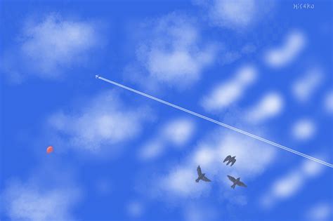 Image result for Real Sky with a Contrail