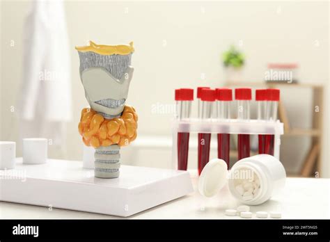 Thyroid Lab Model に対する画像結果