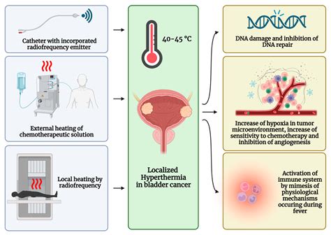 BCG-Unresponsive Non-Muscle-Invasive Bladder Cancer: Current Treatment ...