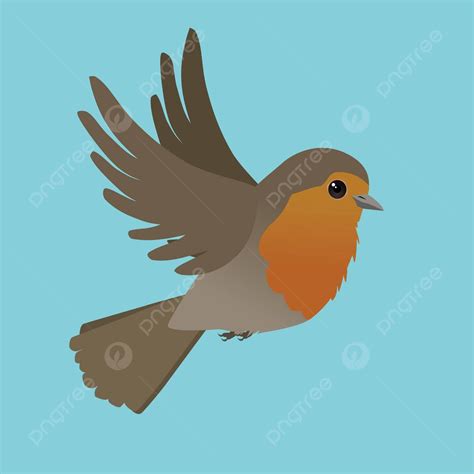 Image result for Robin Bird Vector Flying
