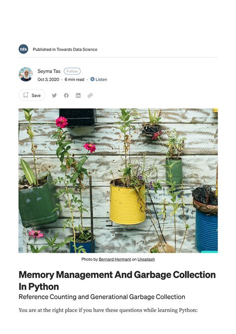 Python Garbage Collection に対する画像結果