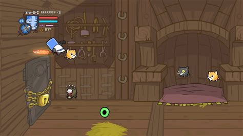 Image result for Castle Crashers Secrets