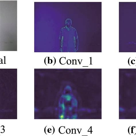 Image result for Feature Map Visualization Deep Learning