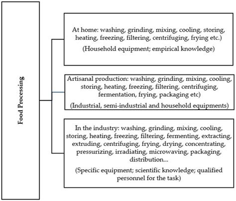 Image result for Food Classification Flowchart