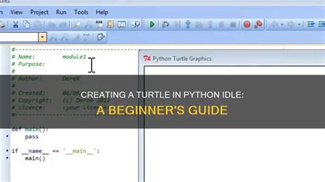 Image result for How to Make Turtle in Python