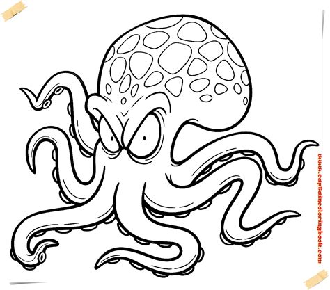 Image result for Octopus Colouring In