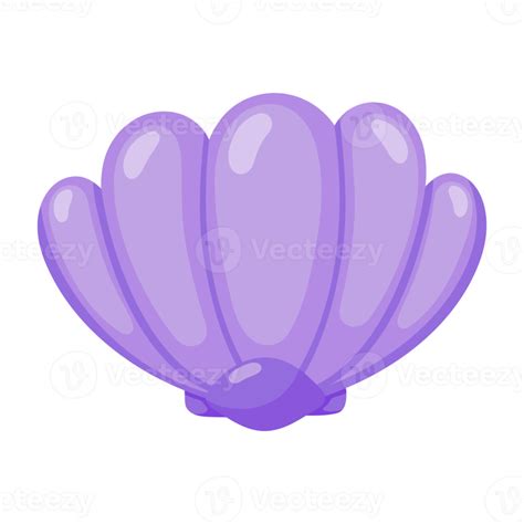 Afbeeldingsresultaten voor Program Shell Icon