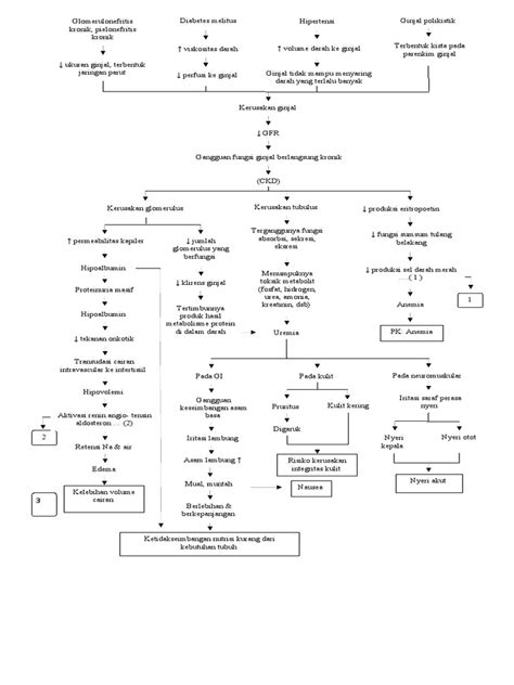 Image result for CKD Final Common Pathway