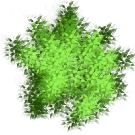 Toradh íomhá ar Tree Textures High Poly