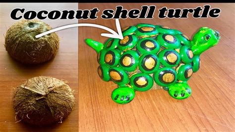 Image result for Turtle Shell Build