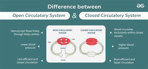 Toradh íomhá ar Difference Between Open And Closed Loop Control System