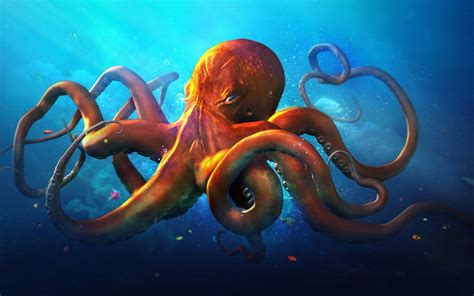 Image result for Octopus Wallpaper