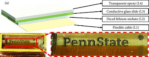 Transducer Array Optune に対する画像結果