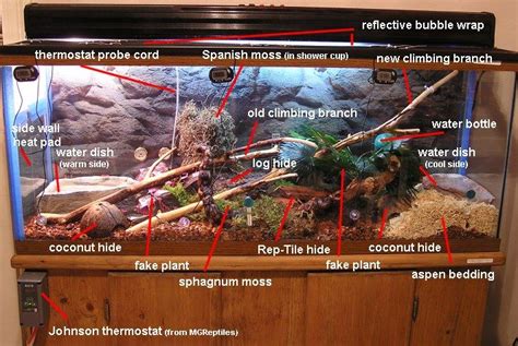Simple Ball Python Tank Setup Ideas に対する画像結果