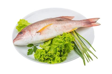 Image result for Roto Snapper