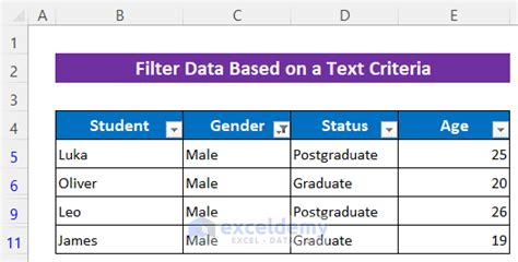 Image result for Filter VBA Code
