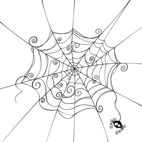 Image result for Spider Web Drawing