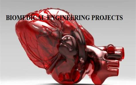 Toradh íomhá ar SolidWorks Biomedical Engineering Examples