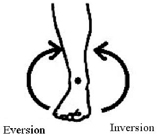 Image result for Inversion/Eversion Movement