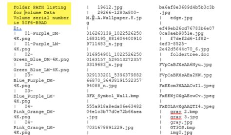 Image result for Windows 11 Folder Tree