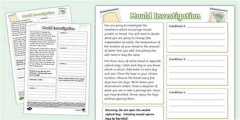 Toradh íomhá ar Gradient Function Investigation Worksheet