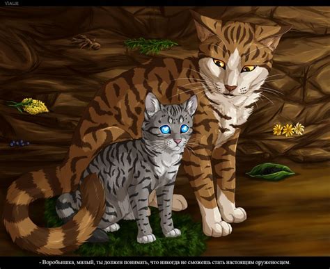 Image result for Splinter Warrior Cats