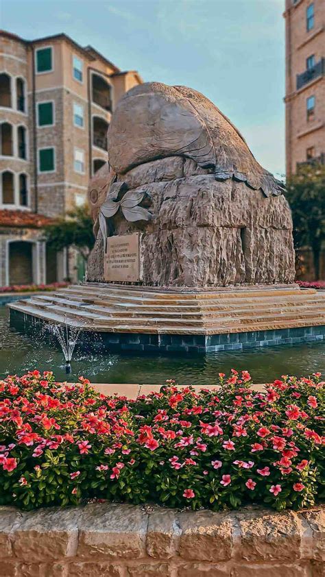 Image result for 9920 Adriatica Loop