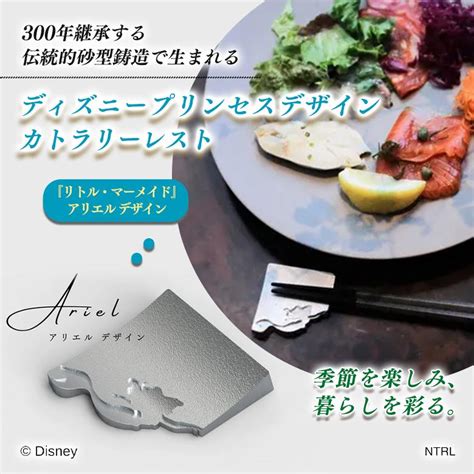 Afbeeldingsresultaten voor Aladdin Little Mermaid