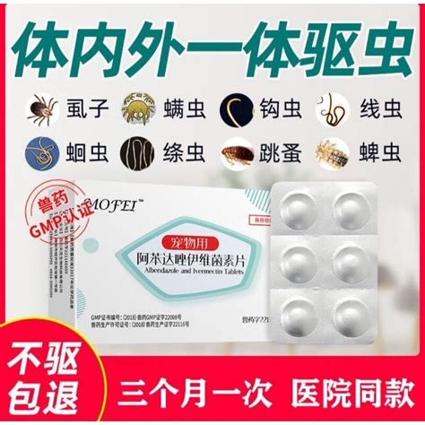 Image result for Insect Repellent for Dogs